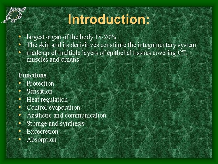 Introduction: • largest organ of the body 15 -20% • The skin and its