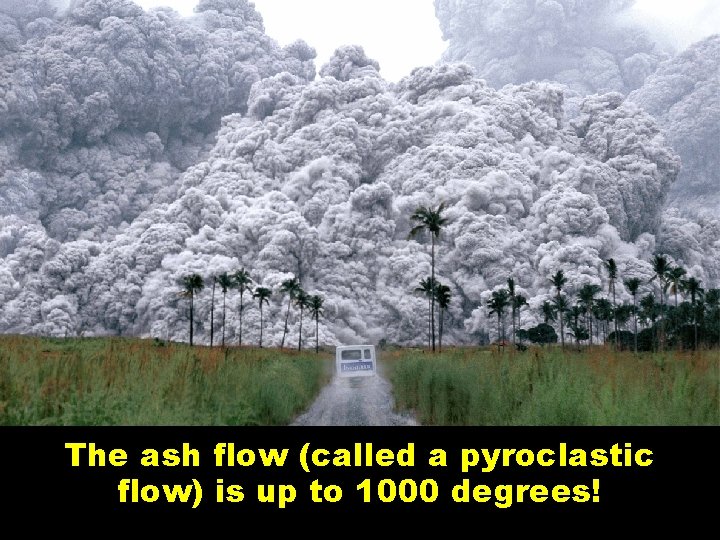 The ash flow (called a pyroclastic flow) is up to 1000 degrees! 