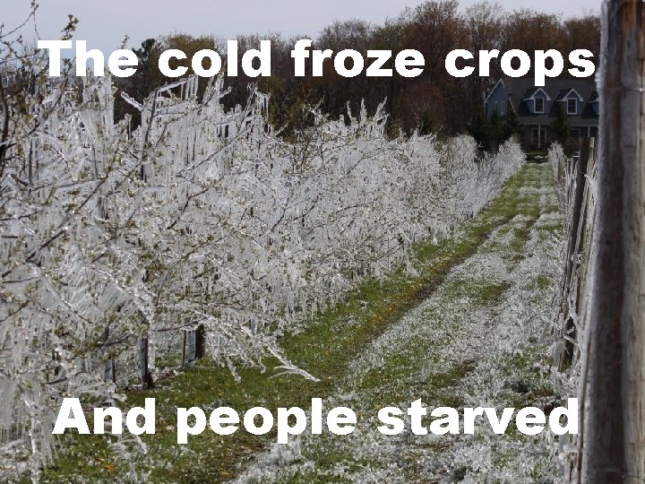 The cold froze crops And people starved 