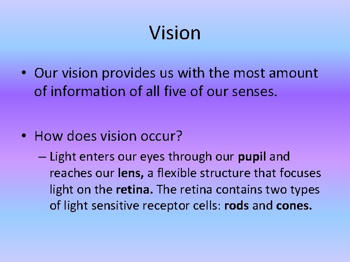 Vision • Our vision provides us with the most amount of information of all