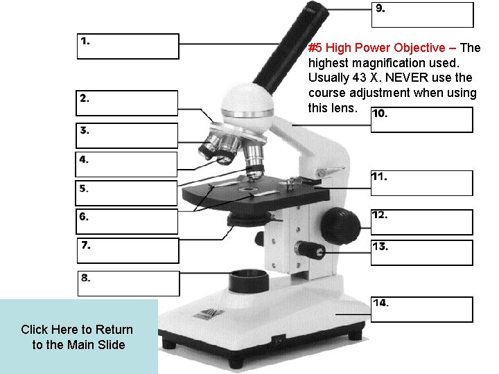 #5 High Power Objective – The highest magnification used. Usually 43 X. NEVER use