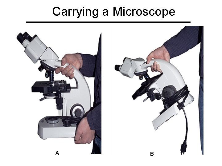 Carrying a Microscope A B 