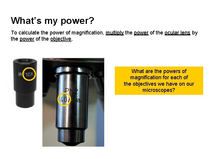 What’s my power? To calculate the power of magnification, multiply the power of the