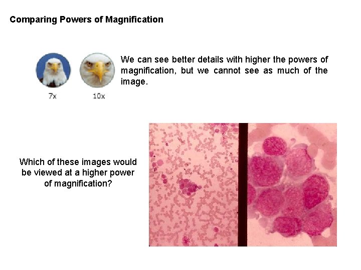 Comparing Powers of Magnification We can see better details with higher the powers of