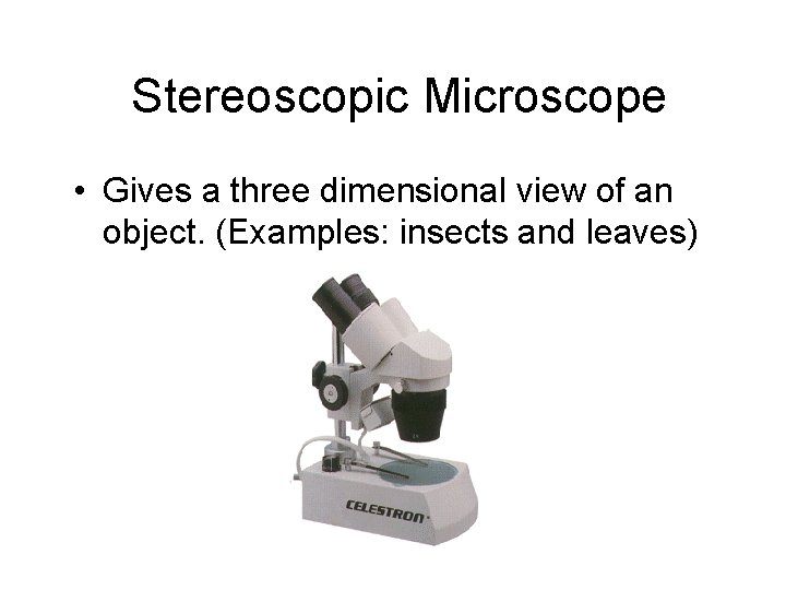 Stereoscopic Microscope • Gives a three dimensional view of an object. (Examples: insects and