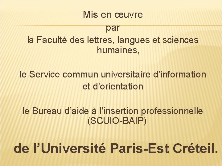 Mis en œuvre par la Faculté des lettres, langues et sciences humaines, le Service