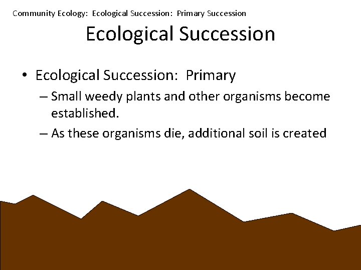 Community Ecology: Ecological Succession: Primary Succession Ecological Succession • Ecological Succession: Primary – Small