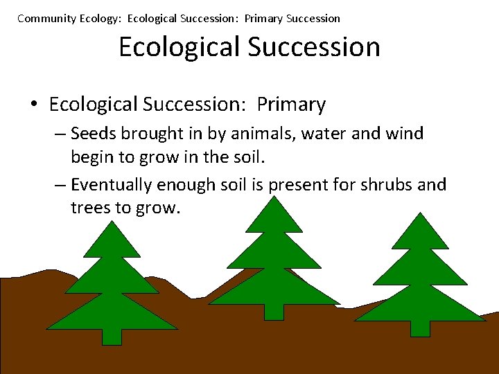 Community Ecology: Ecological Succession: Primary Succession Ecological Succession • Ecological Succession: Primary – Seeds