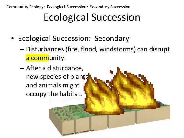 Community Ecology: Ecological Succession: Secondary Succession Ecological Succession • Ecological Succession: Secondary – Disturbances