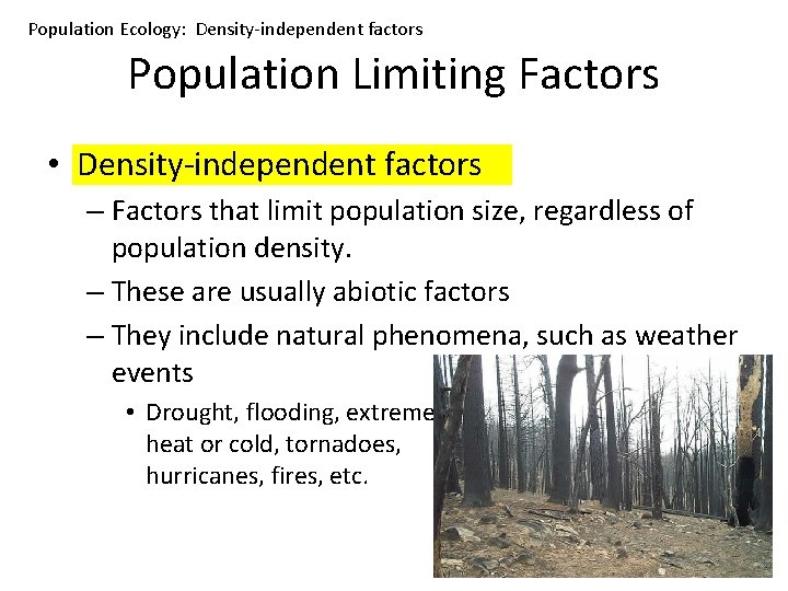 Population Ecology: Density-independent factors Population Limiting Factors • Density-independent factors – Factors that limit
