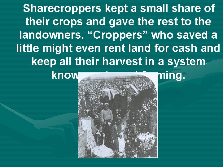 Sharecroppers kept a small share of their crops and gave the rest to the