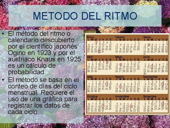 METODO DEL RITMO • El método del ritmo o calendario descubierto por el científico