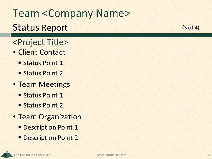 Team <Company Name> Status Report (3 of 4) <Project Title> • Client Contact §