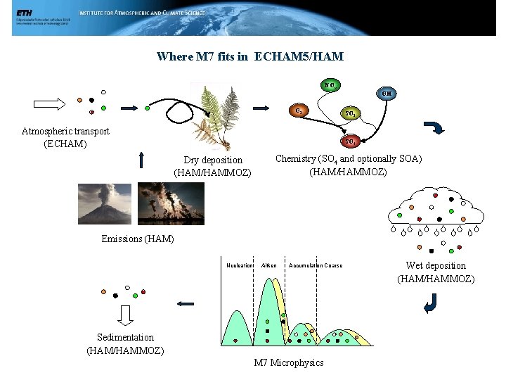 Where M 7 fits in ECHAM 5/HAM NOx OH O 3 Atmospheric transport (ECHAM)