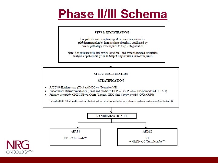 Phase II/III Schema 