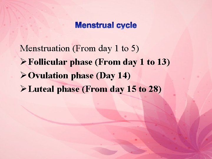 Menstruation (From day 1 to 5) Ø Follicular phase (From day 1 to 13)