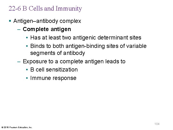 22 -6 B Cells and Immunity § Antigen–antibody complex – Complete antigen • Has