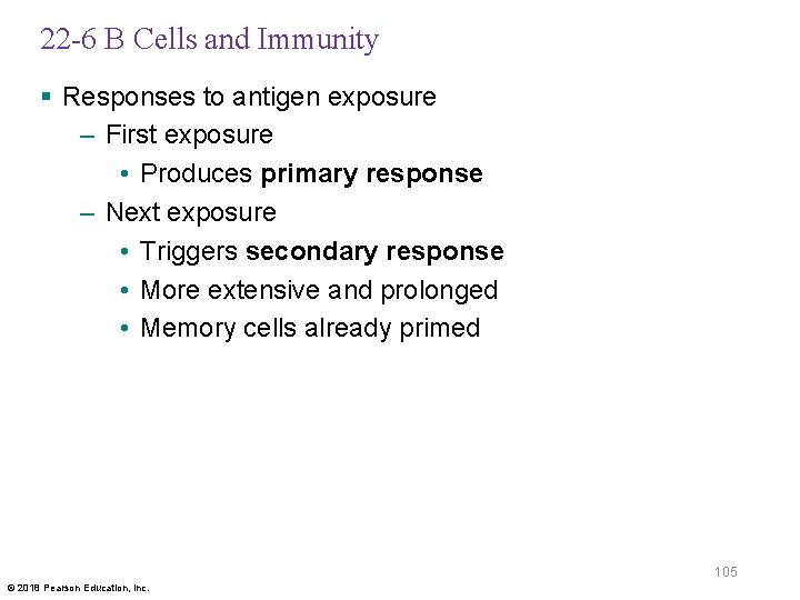 22 -6 B Cells and Immunity § Responses to antigen exposure – First exposure