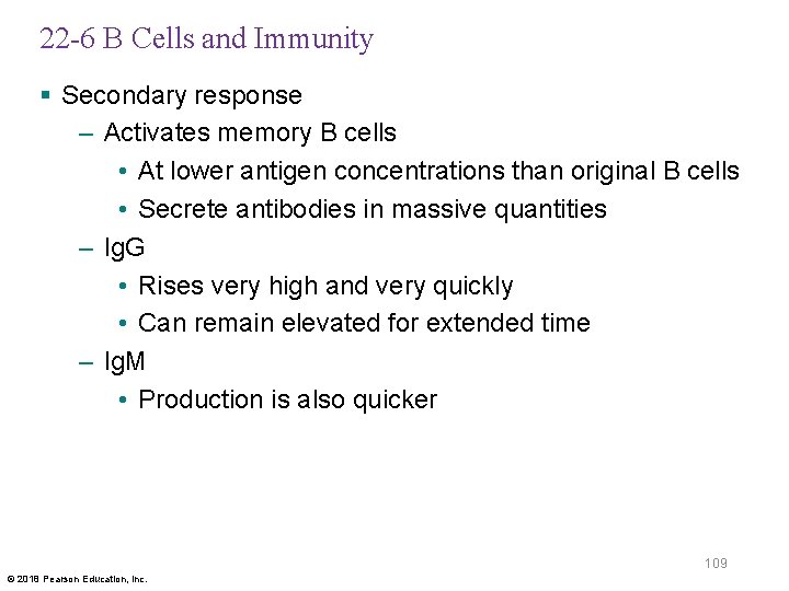 22 -6 B Cells and Immunity § Secondary response – Activates memory B cells
