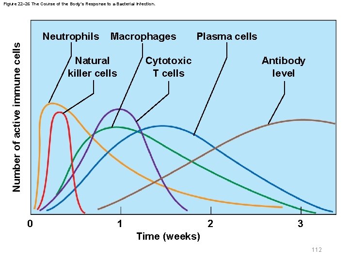 Figure 22– 26 The Course of the Body’s Response to a Bacterial Infection. Number