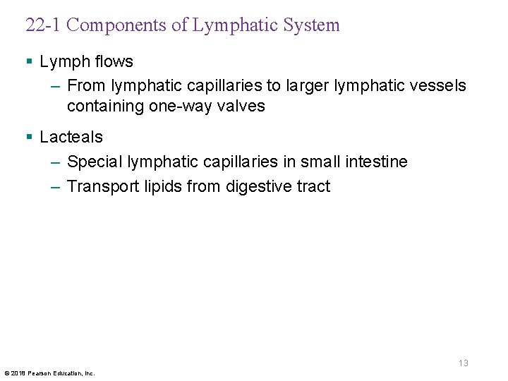 22 -1 Components of Lymphatic System § Lymph flows – From lymphatic capillaries to