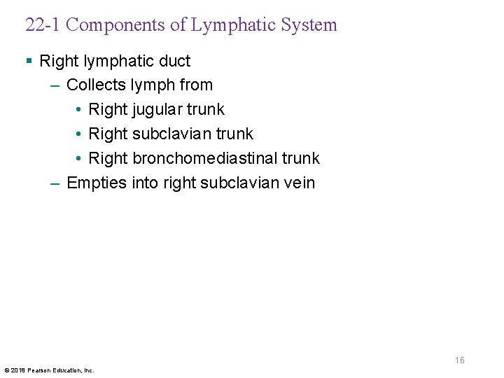 22 -1 Components of Lymphatic System § Right lymphatic duct – Collects lymph from