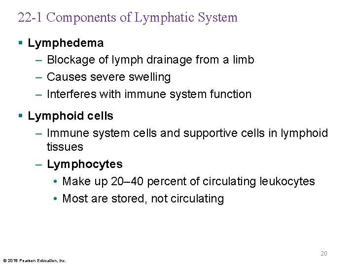 22 -1 Components of Lymphatic System § Lymphedema – Blockage of lymph drainage from