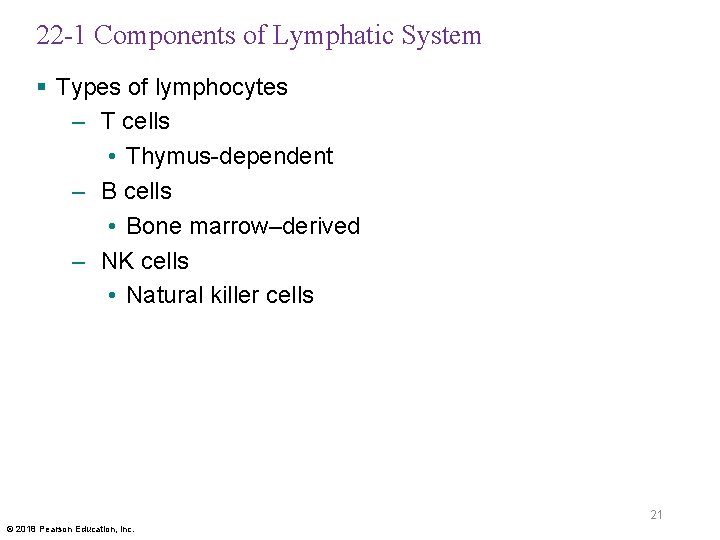 22 -1 Components of Lymphatic System § Types of lymphocytes – T cells •