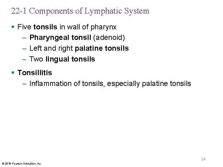 22 -1 Components of Lymphatic System § Five tonsils in wall of pharynx –