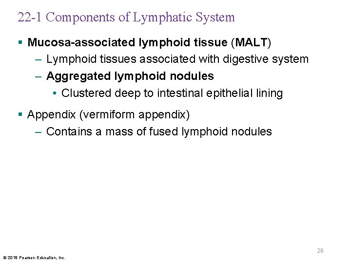 22 -1 Components of Lymphatic System § Mucosa-associated lymphoid tissue (MALT) – Lymphoid tissues