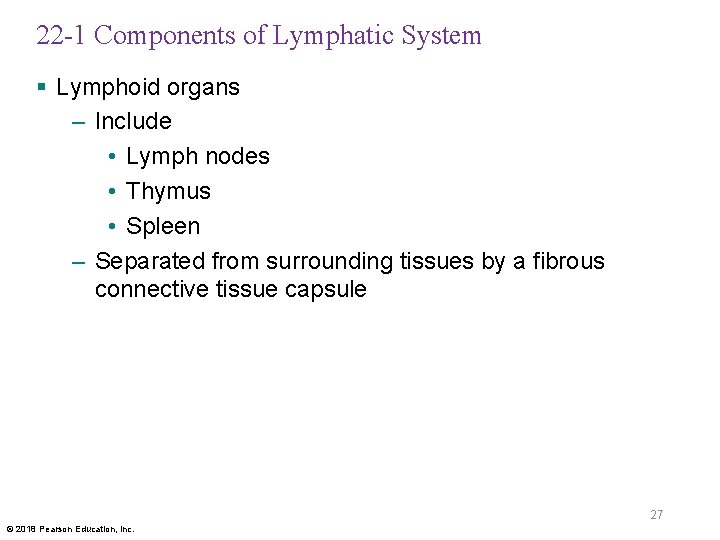 22 -1 Components of Lymphatic System § Lymphoid organs – Include • Lymph nodes