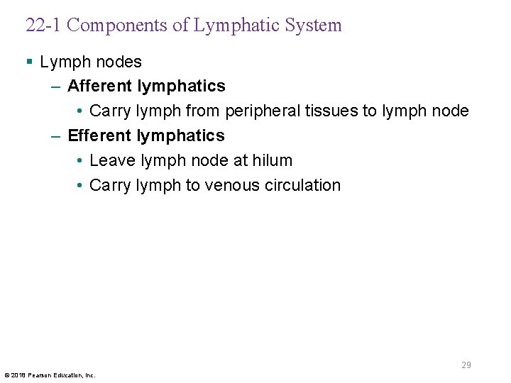 22 -1 Components of Lymphatic System § Lymph nodes – Afferent lymphatics • Carry