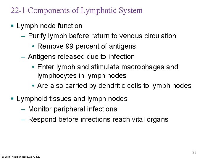 22 -1 Components of Lymphatic System § Lymph node function – Purify lymph before