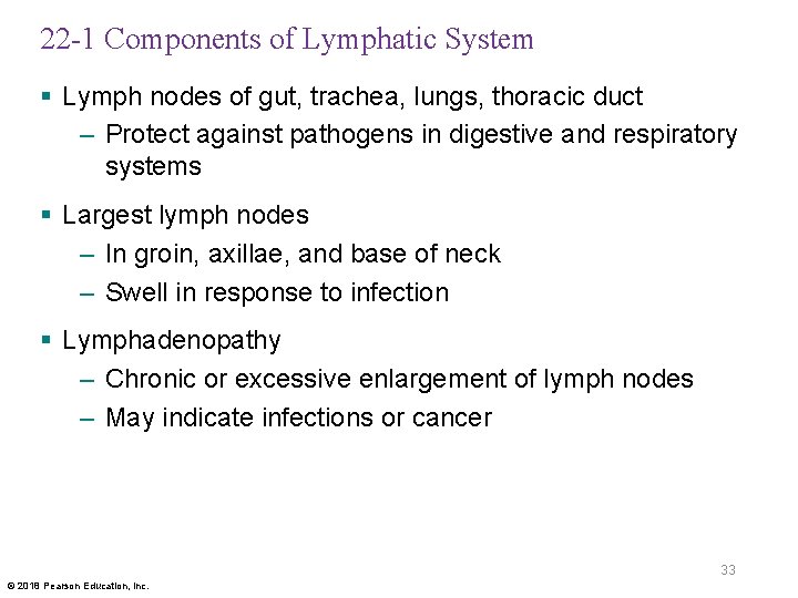 22 -1 Components of Lymphatic System § Lymph nodes of gut, trachea, lungs, thoracic