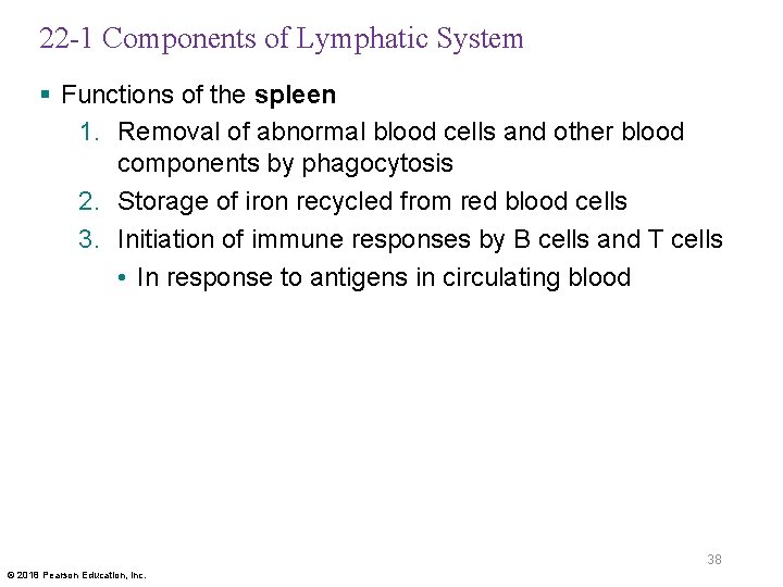 22 -1 Components of Lymphatic System § Functions of the spleen 1. Removal of