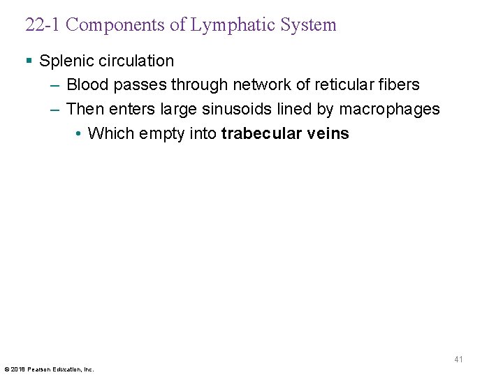22 -1 Components of Lymphatic System § Splenic circulation – Blood passes through network