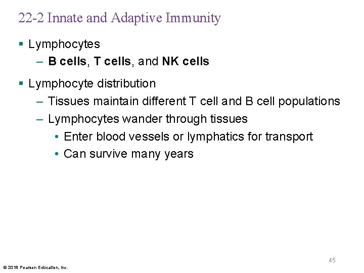22 -2 Innate and Adaptive Immunity § Lymphocytes – B cells, T cells, and