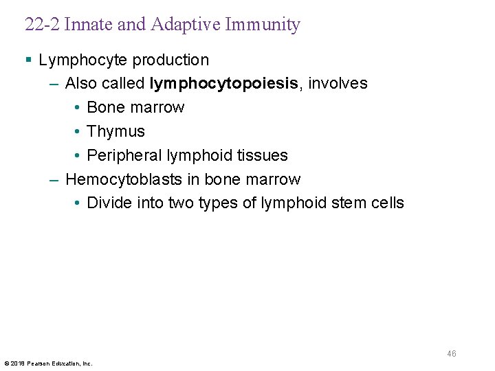 22 -2 Innate and Adaptive Immunity § Lymphocyte production – Also called lymphocytopoiesis, involves