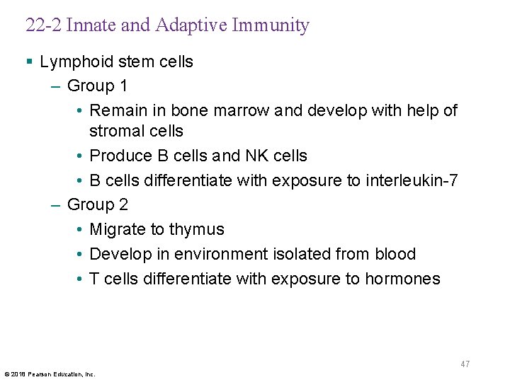 22 -2 Innate and Adaptive Immunity § Lymphoid stem cells – Group 1 •