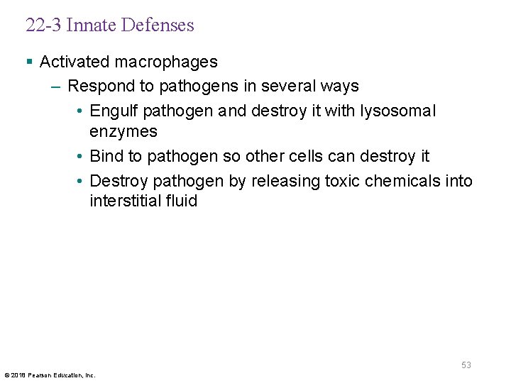 22 -3 Innate Defenses § Activated macrophages – Respond to pathogens in several ways