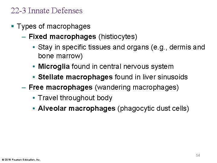 22 -3 Innate Defenses § Types of macrophages – Fixed macrophages (histiocytes) • Stay