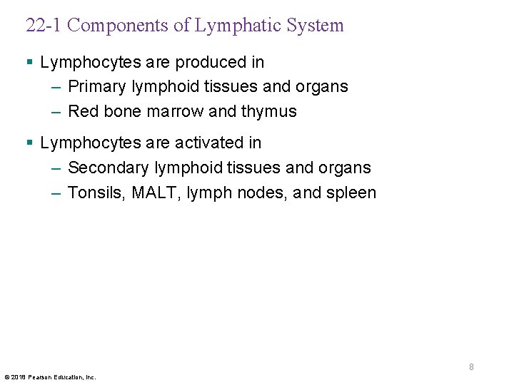 22 -1 Components of Lymphatic System § Lymphocytes are produced in – Primary lymphoid