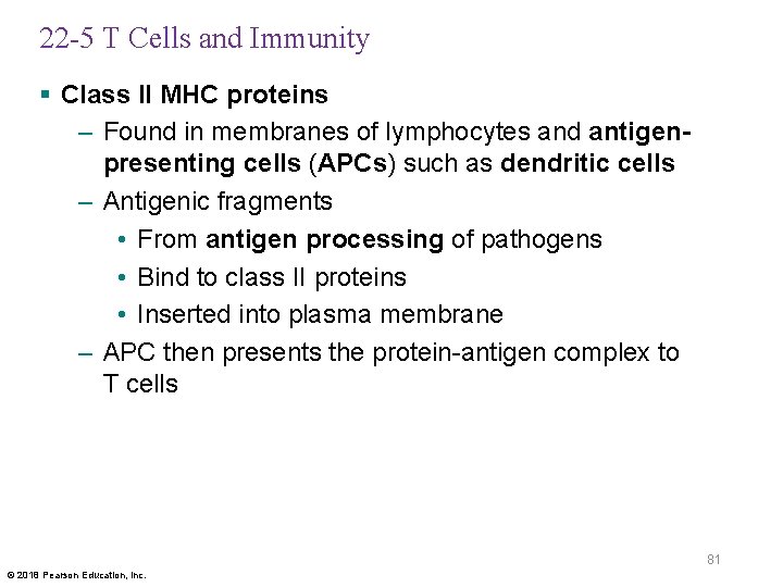 22 -5 T Cells and Immunity § Class II MHC proteins – Found in