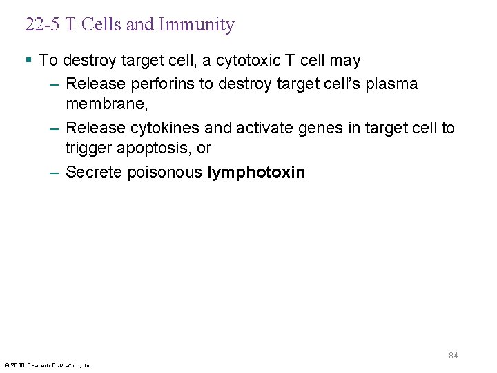 22 -5 T Cells and Immunity § To destroy target cell, a cytotoxic T