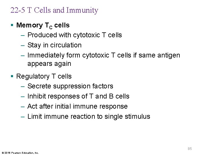 22 -5 T Cells and Immunity § Memory TC cells – Produced with cytotoxic