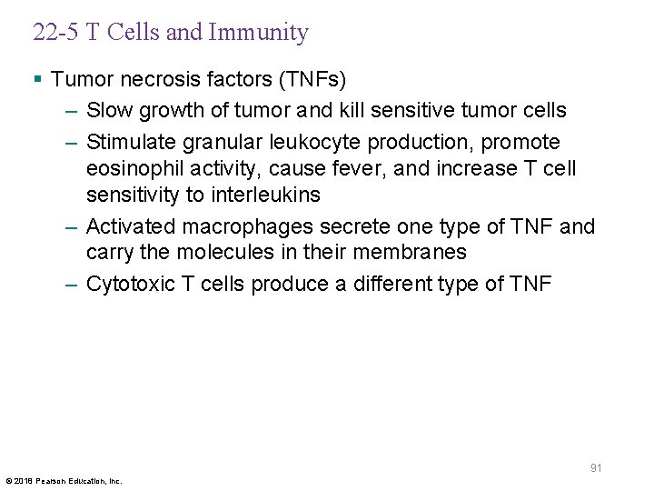 22 -5 T Cells and Immunity § Tumor necrosis factors (TNFs) – Slow growth