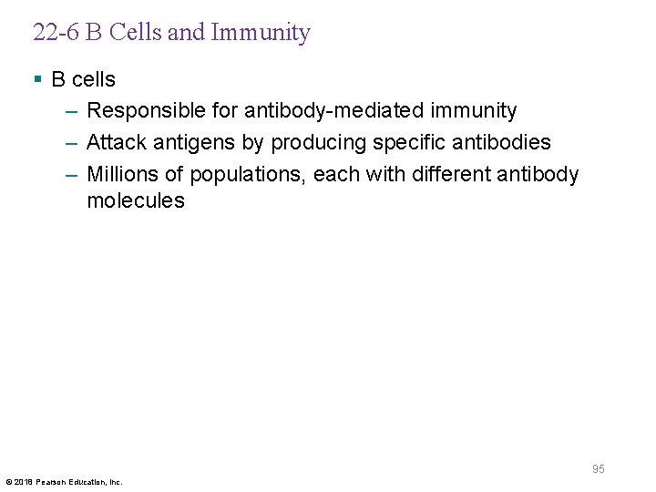 22 -6 B Cells and Immunity § B cells – Responsible for antibody-mediated immunity