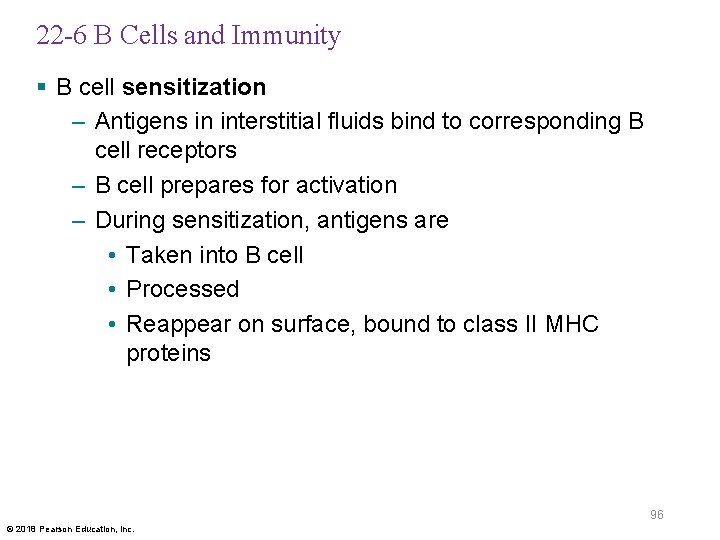 22 -6 B Cells and Immunity § B cell sensitization – Antigens in interstitial