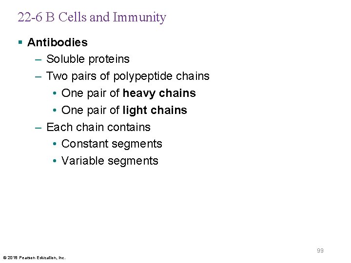 22 -6 B Cells and Immunity § Antibodies – Soluble proteins – Two pairs