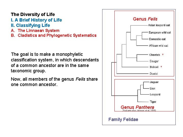 The Diversity of Life I. A Brief History of Life II. Classifying Life Genus